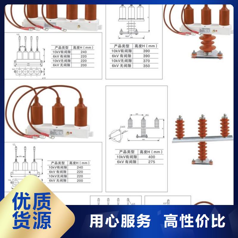 【羿振電力設(shè)備】過電壓保護器TGB-D-15.75/N