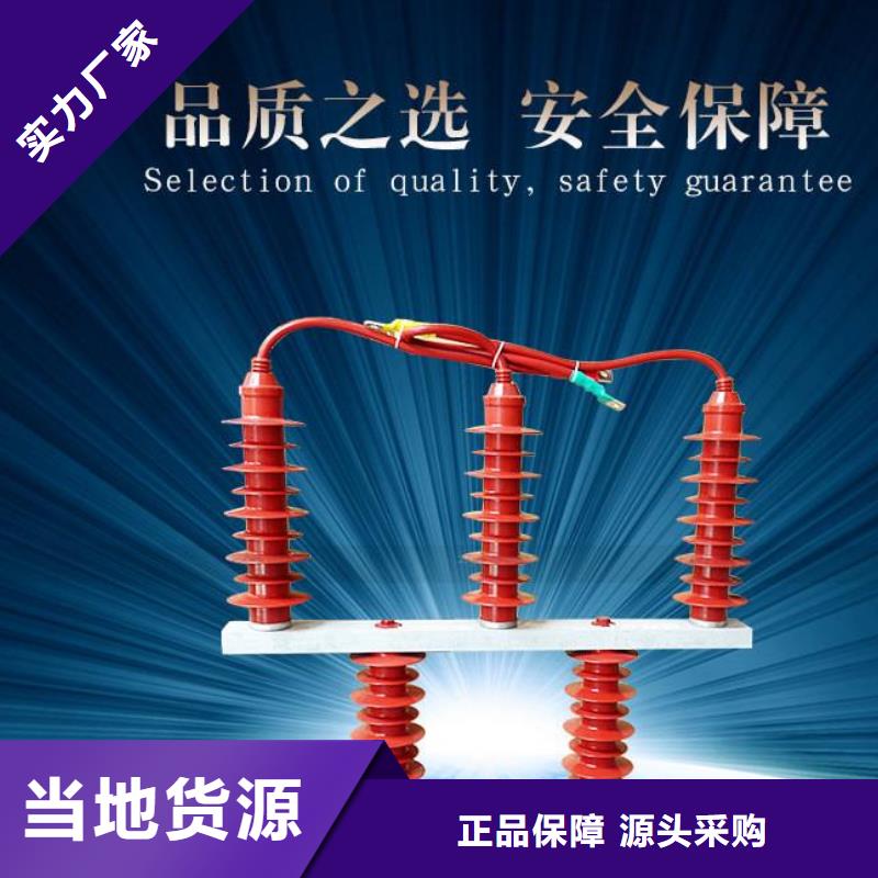 【羿振電氣】過(guò)電壓保護(hù)器高壓組合式避雷器