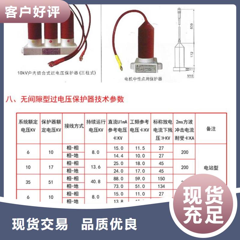 【羿振牌】〖過電壓保護(hù)器〗TBP-B-12.7F/45廠家供應(yīng)
