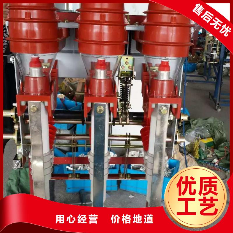 高壓負(fù)荷開(kāi)關(guān)FZN40-10D/T125-31.5現(xiàn)貨齊全