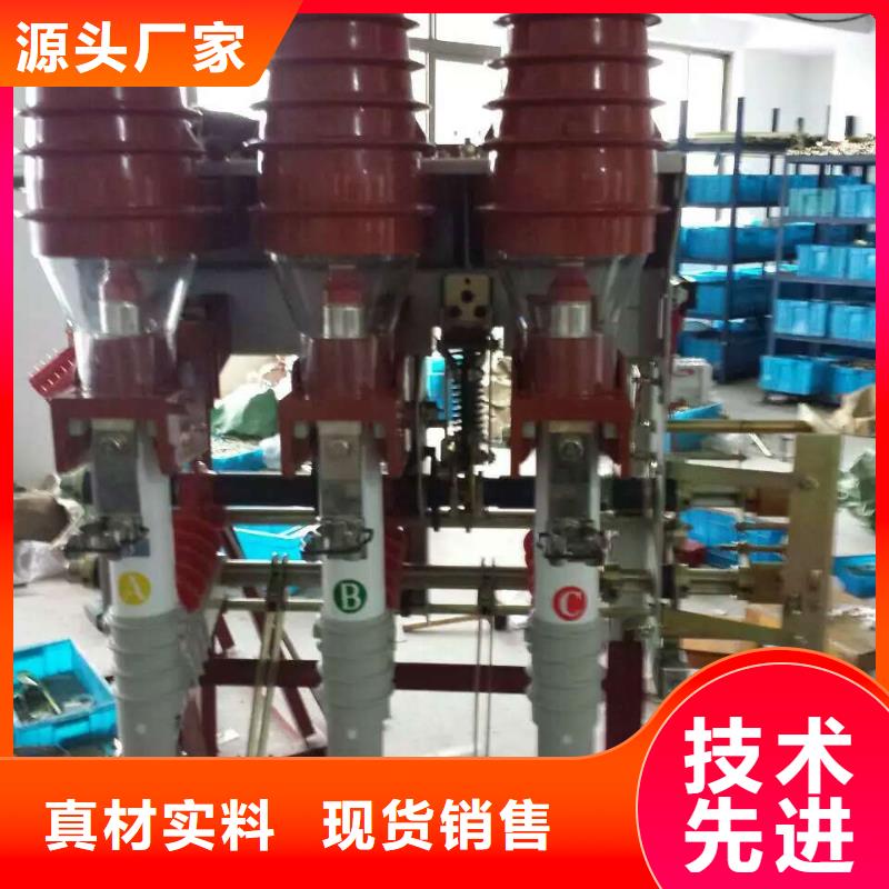 高壓負荷開關(guān)FZRN40-12RD/125-31.5廠家直供