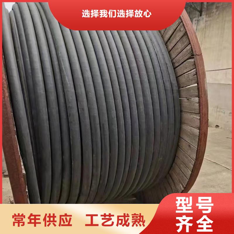 铜芯电缆回收现货供应