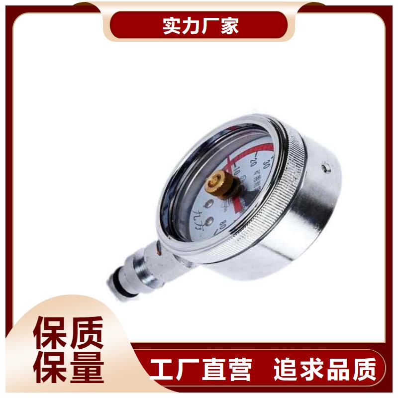 綜采支架測(cè)壓表-錨桿拉力計(jì)專(zhuān)業(yè)生產(chǎn)品質(zhì)保證