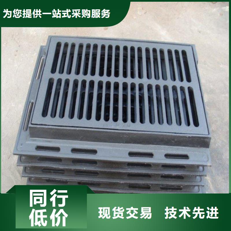 球墨鑄鐵單篦200*500制造廠家