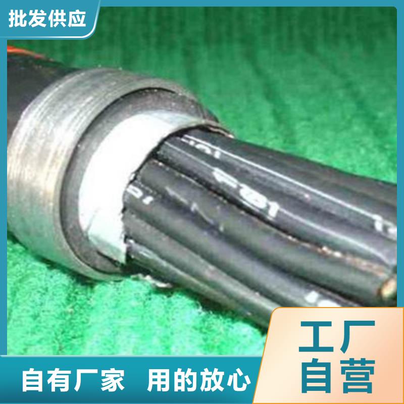 特种电缆,信号电缆现货