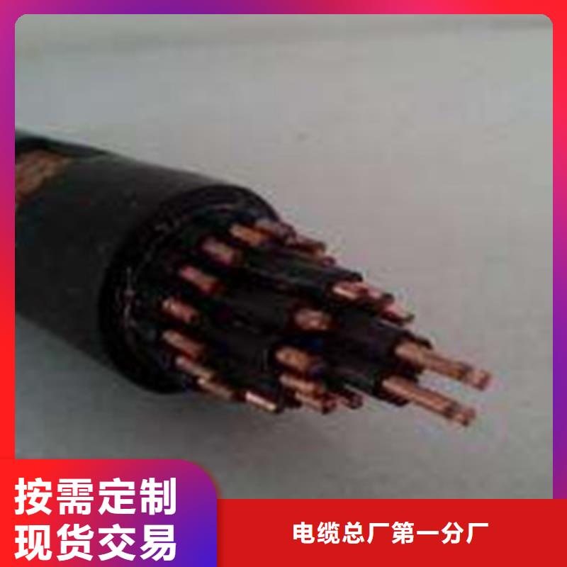 特种电缆电缆生产厂家当地货源