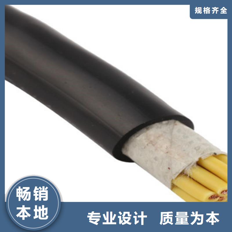 特種電纜_鐵路信號電纜專業(yè)生產(chǎn)制造廠