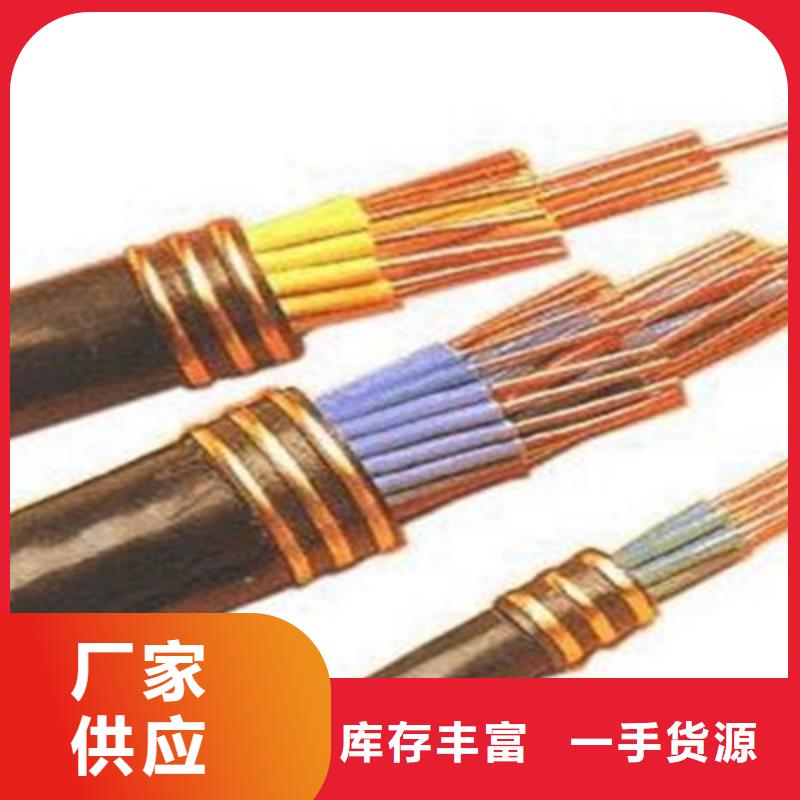 IA-KVVRP 2X1本安控制电缆