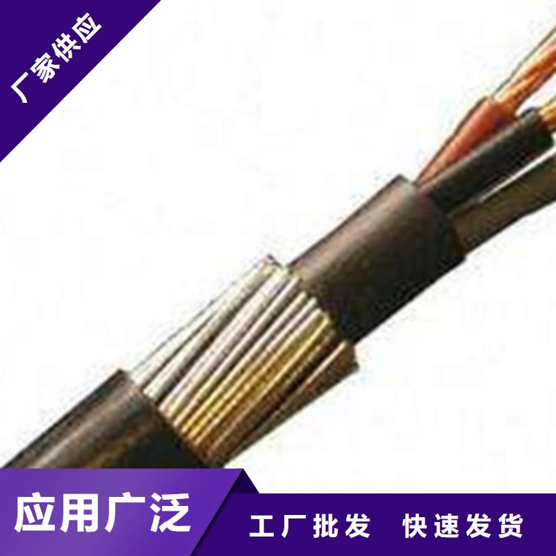 特种电缆_铁路信号电缆专业生产制造厂