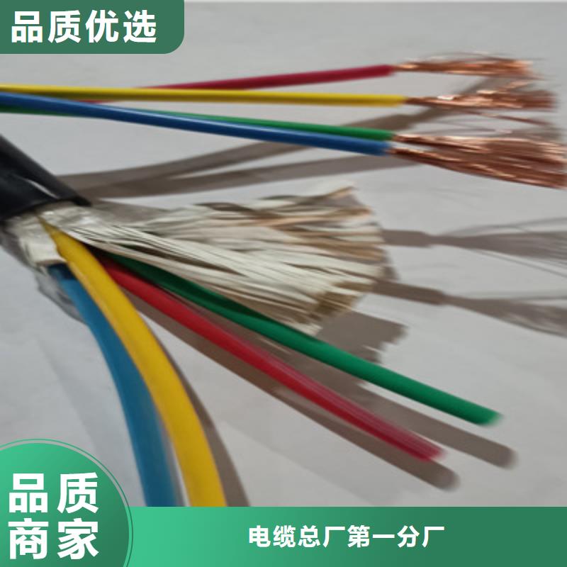 rvs電源線品牌