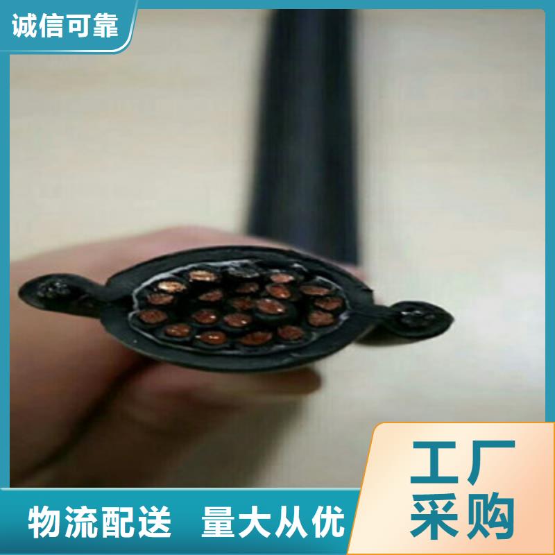 特种电缆,信号电缆常年供应