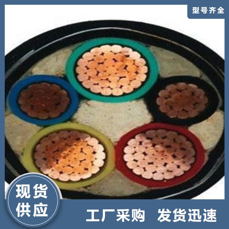 特種電纜屏蔽電纜豐富的行業(yè)經(jīng)驗