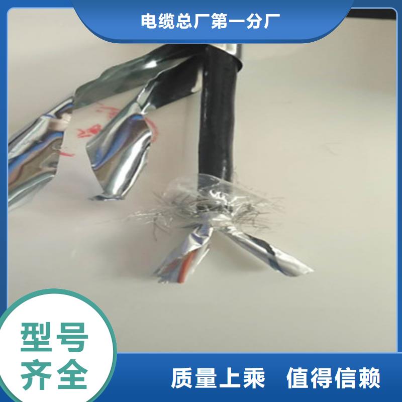 特種電纜屏蔽電纜豐富的行業(yè)經(jīng)驗