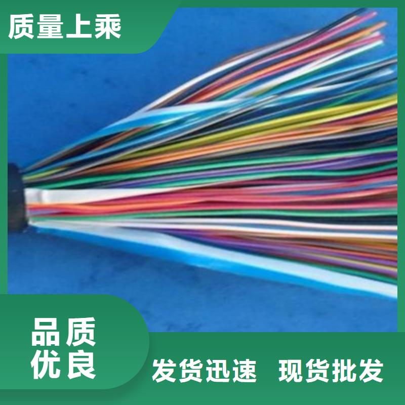 通信電纜-屏蔽電纜用心制作
