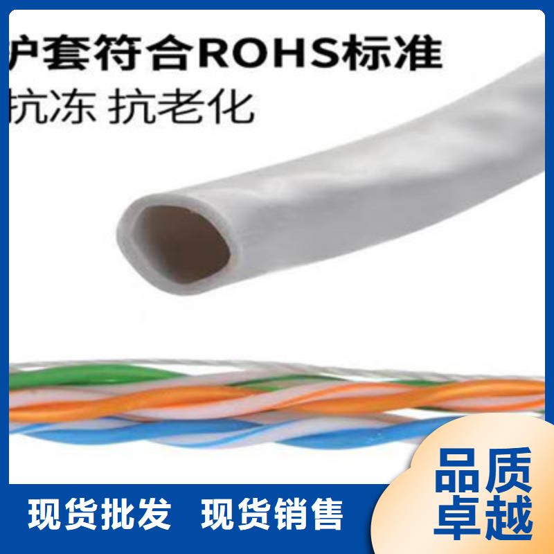 通信電纜屏蔽電纜懂您所需