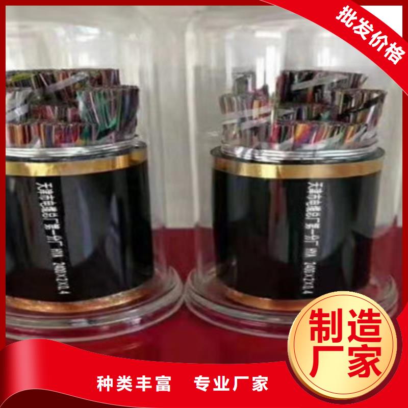 通信电缆-屏蔽电缆同行低价