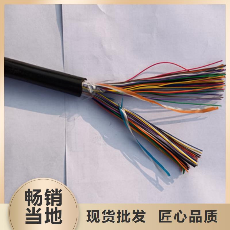 通信電纜-屏蔽電纜定制速度快工期短