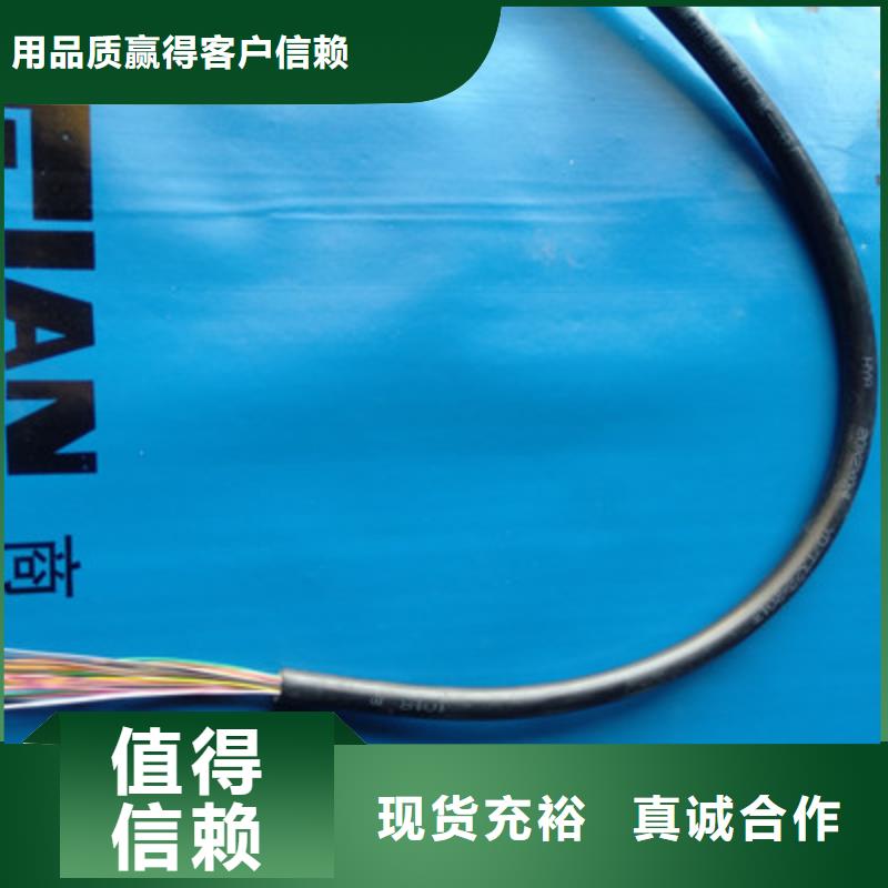 通信電纜屏蔽電纜懂您所需