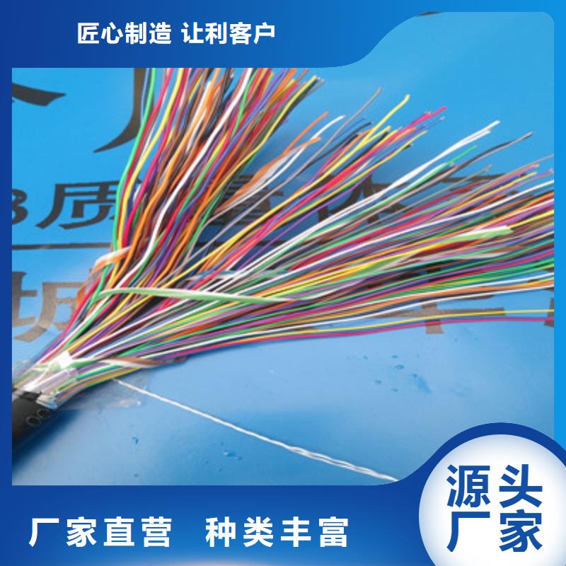 通信電纜-屏蔽電纜用心制作