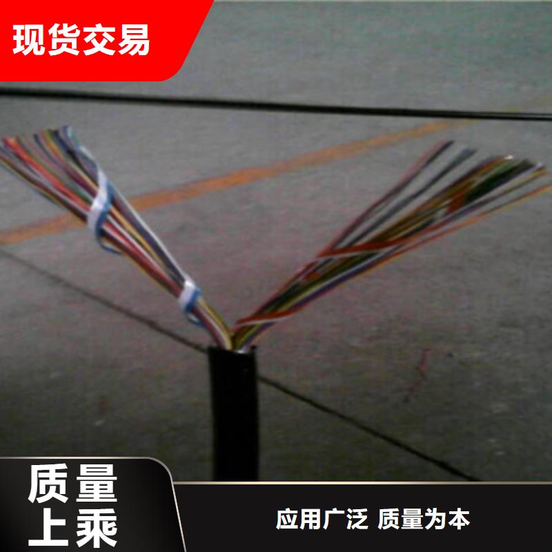 通信電纜-屏蔽電纜用心制作