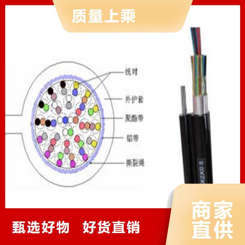 通信電纜實力優(yōu)品