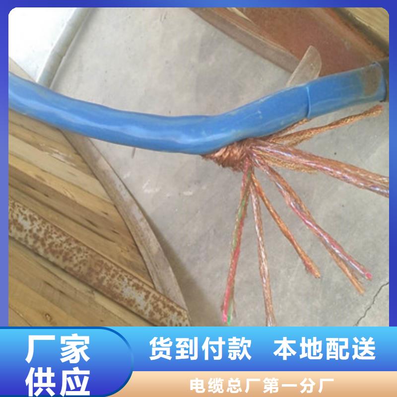 计算机电缆,电缆生产厂家真材实料诚信经营