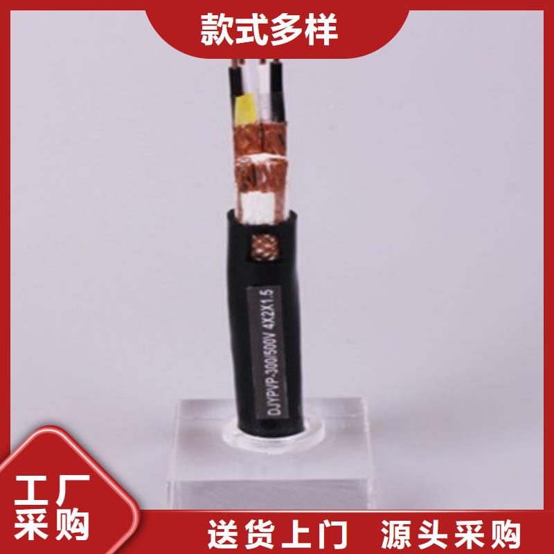低煙無(wú)鹵計(jì)算機(jī)電纜WDZ-KJCRP_品類齊全