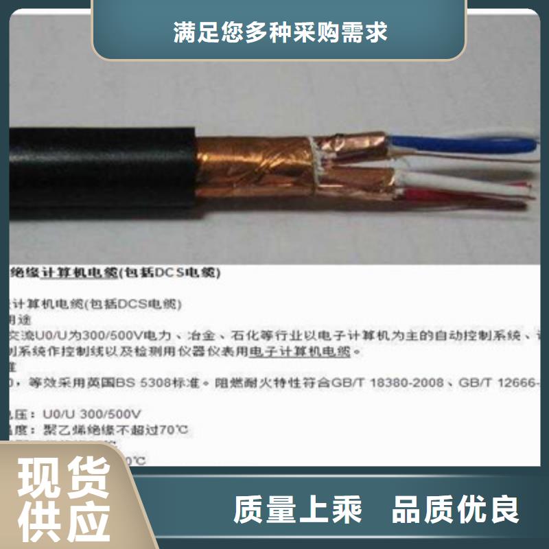 計(jì)算機(jī)電纜通信電纜48小時(shí)發(fā)貨