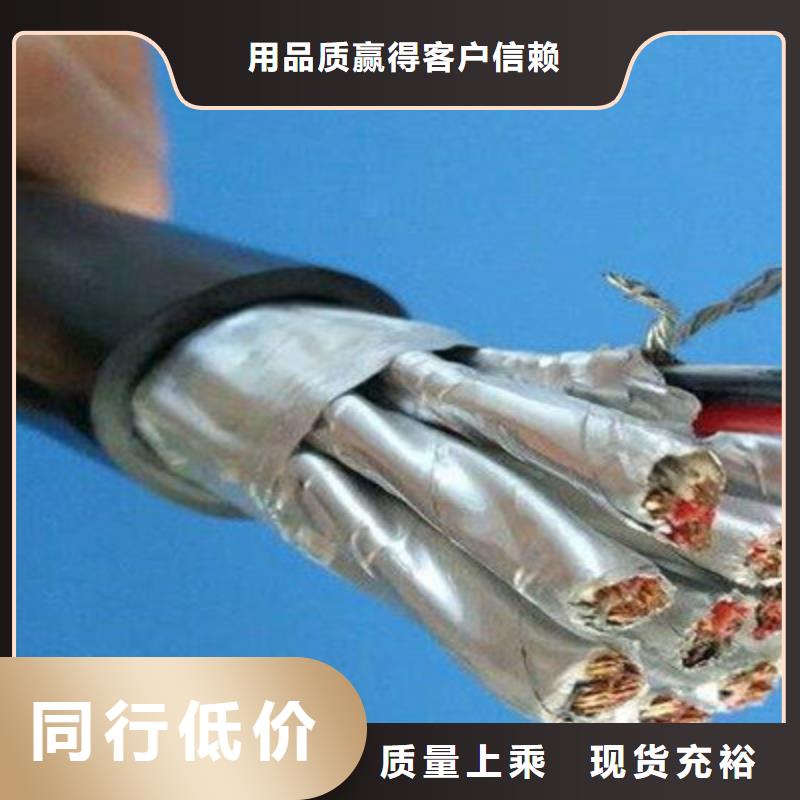 計算機電纜電纜生產(chǎn)廠家一周內(nèi)發(fā)貨