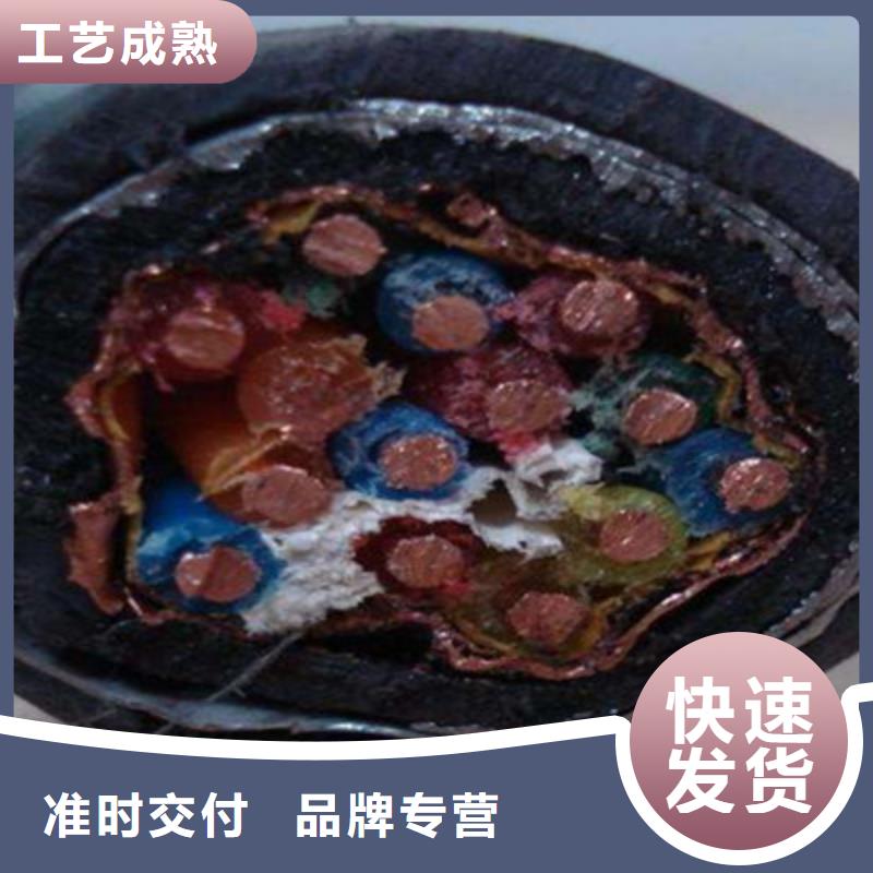 计算机电缆,煤矿用阻燃信号电缆当地厂家值得信赖