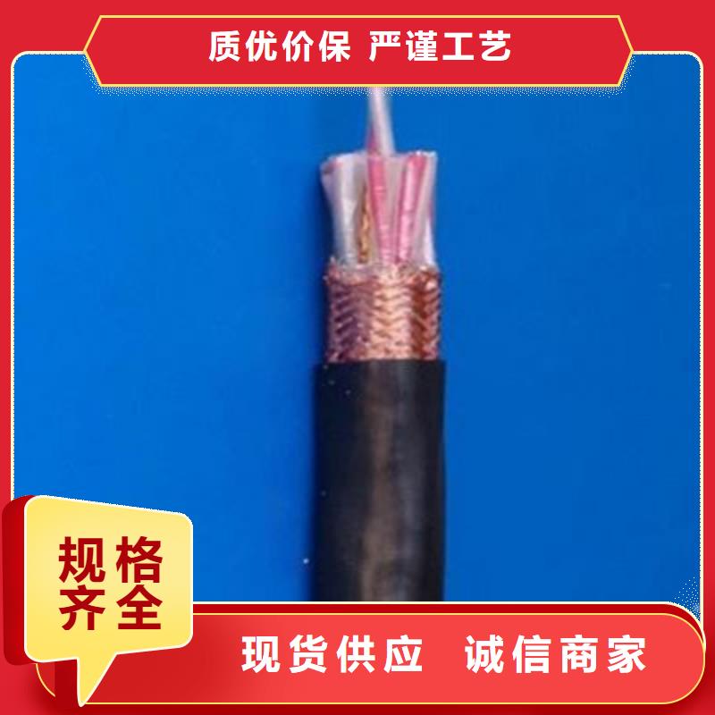 計算機電纜電纜生產(chǎn)廠家一周內(nèi)發(fā)貨