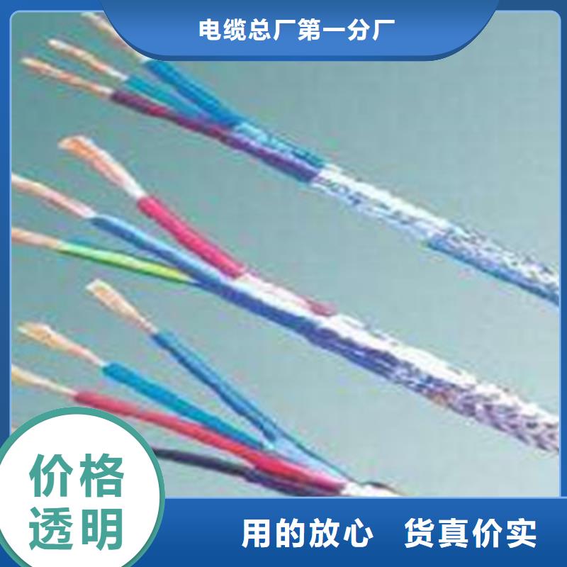計(jì)算機(jī)電纜屏蔽電纜大廠(chǎng)家實(shí)力看得見(jiàn)