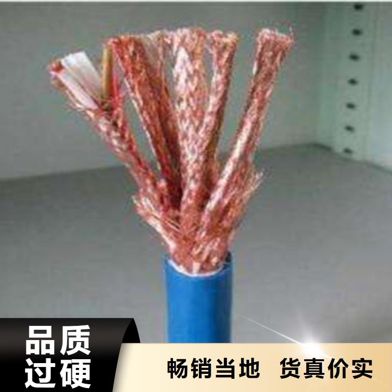 計算機電纜電纜生產(chǎn)廠家一周內(nèi)發(fā)貨