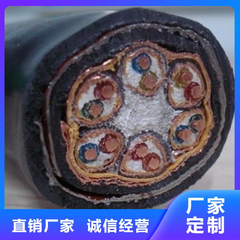 计算机电缆通信电缆48小时发货