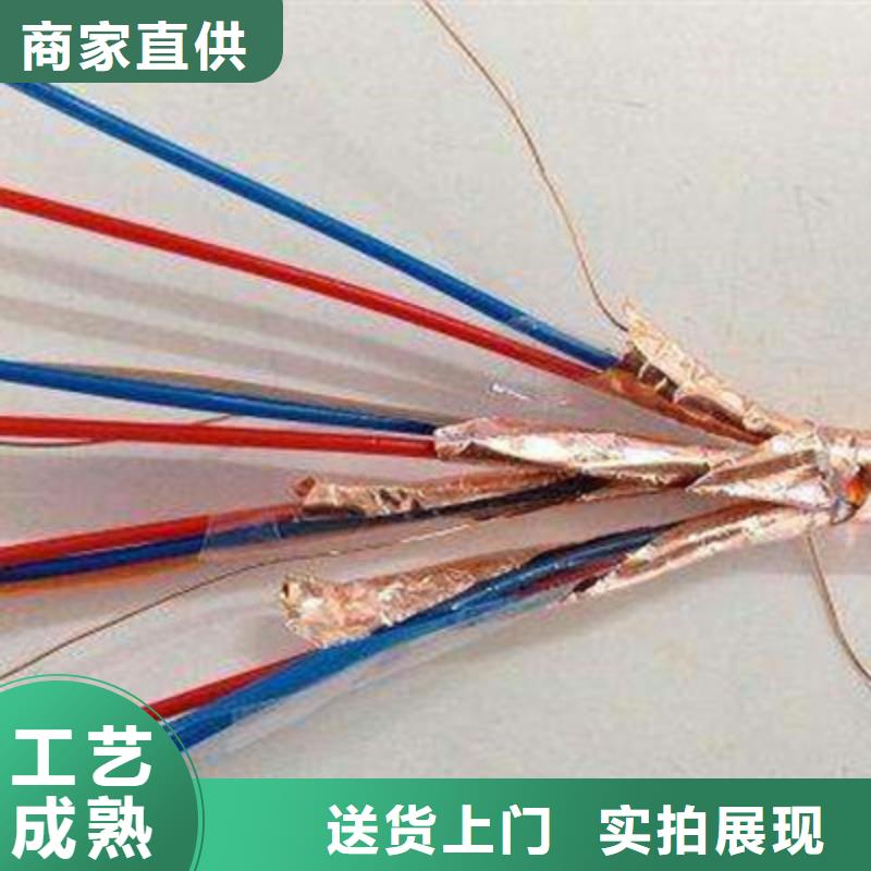 計算機(jī)電纜屏蔽電纜品質(zhì)無所畏懼