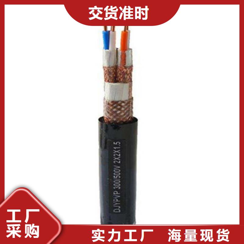 計(jì)算機(jī)電纜電纜生產(chǎn)廠家一周內(nèi)發(fā)貨