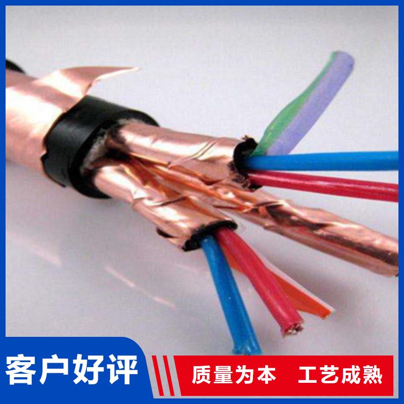 低煙無(wú)鹵計(jì)算機(jī)電纜WDZ-KJCRP_品類齊全