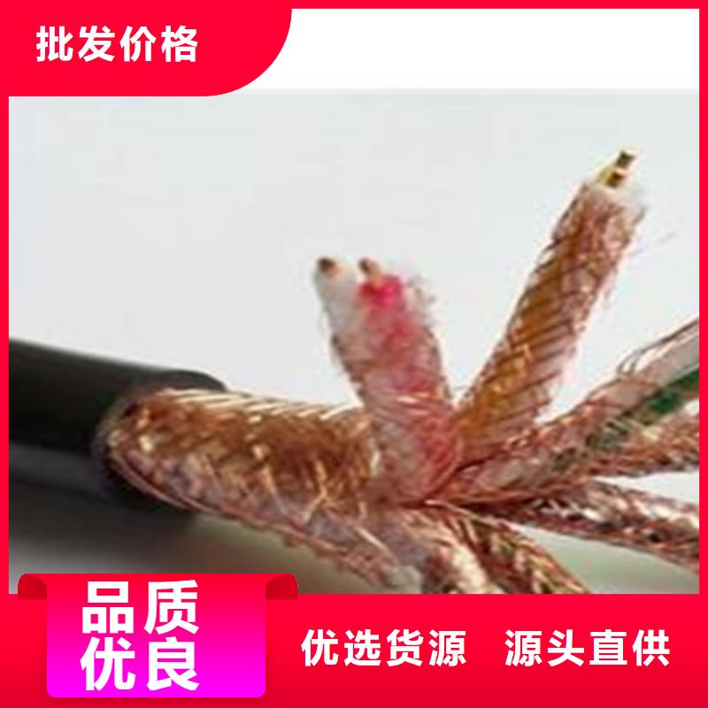 低煙無(wú)鹵計(jì)算機(jī)電纜WDZ-KJCRP_品類齊全