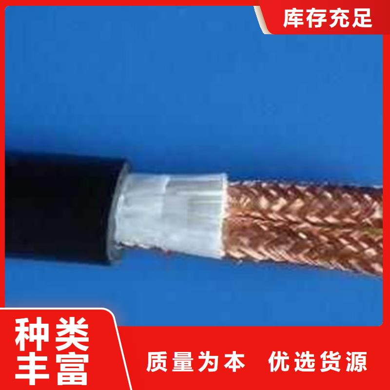 計算機電纜電纜生產(chǎn)廠家一周內(nèi)發(fā)貨