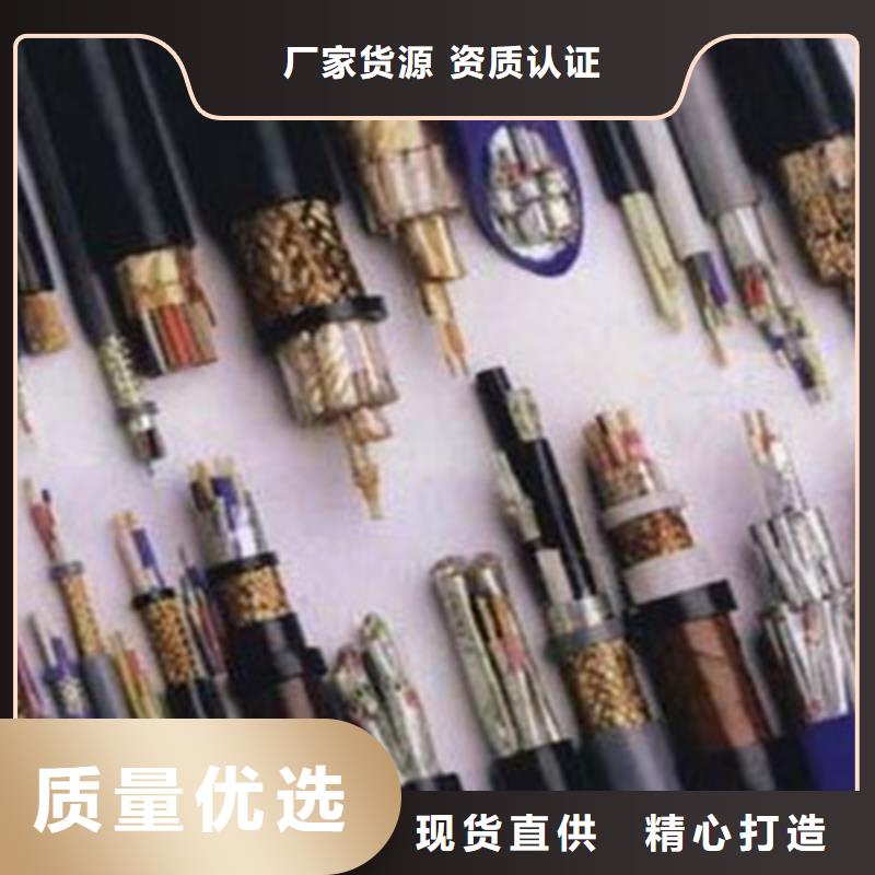 计算机电缆,屏蔽电缆厂家实力大