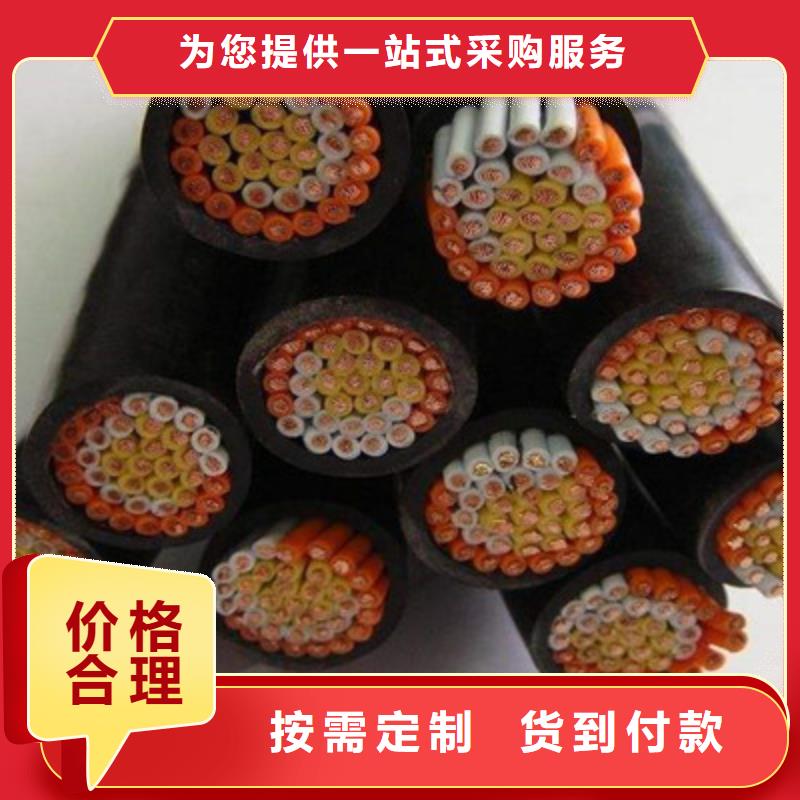 計(jì)算機(jī)電纜,屏蔽電纜廠家實(shí)力大