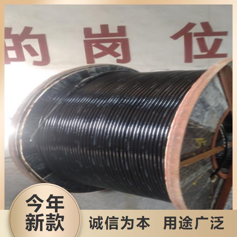 計(jì)算機(jī)電纜通信電纜48小時(shí)發(fā)貨
