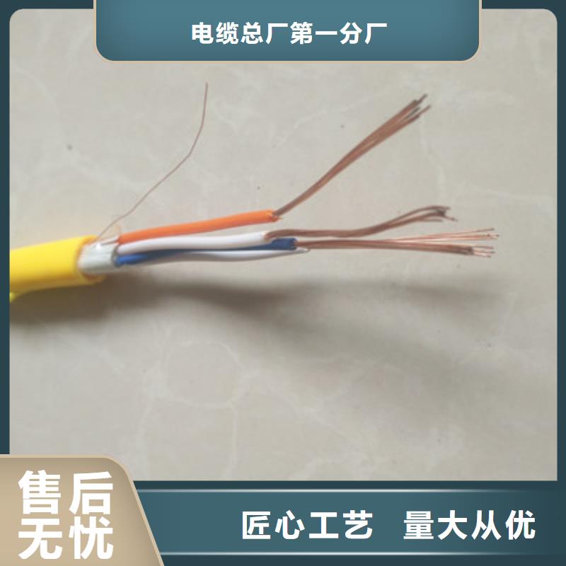 計(jì)算機(jī)電纜通信電纜48小時(shí)發(fā)貨
