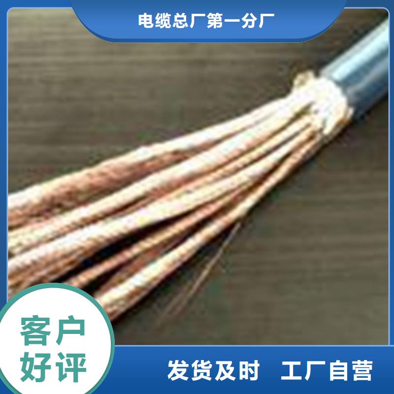 計(jì)算機(jī)電纜電纜生產(chǎn)廠家一周內(nèi)發(fā)貨