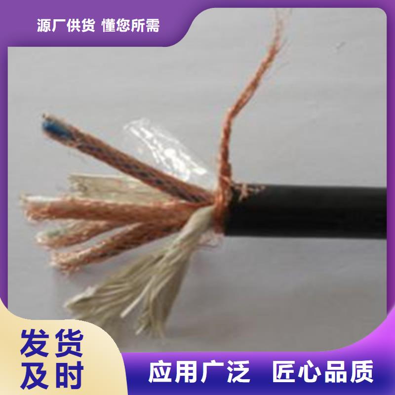 計(jì)算機(jī)電纜,屏蔽電纜廠家實(shí)力大