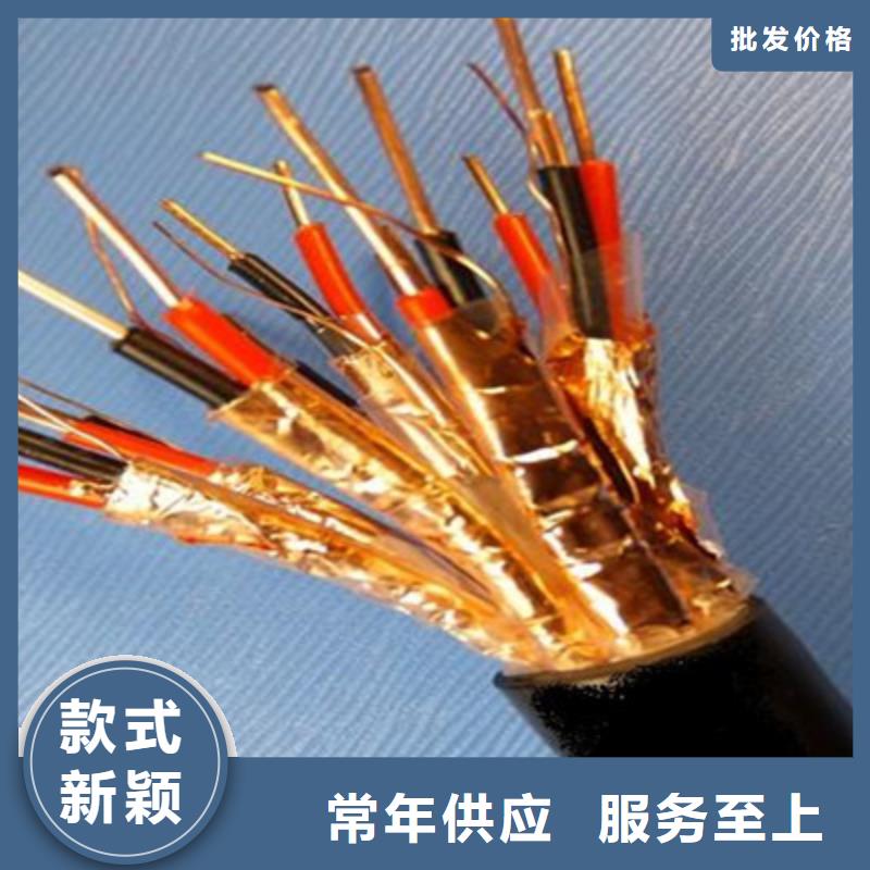 計(jì)算機(jī)電纜屏蔽電纜大廠(chǎng)家實(shí)力看得見(jiàn)