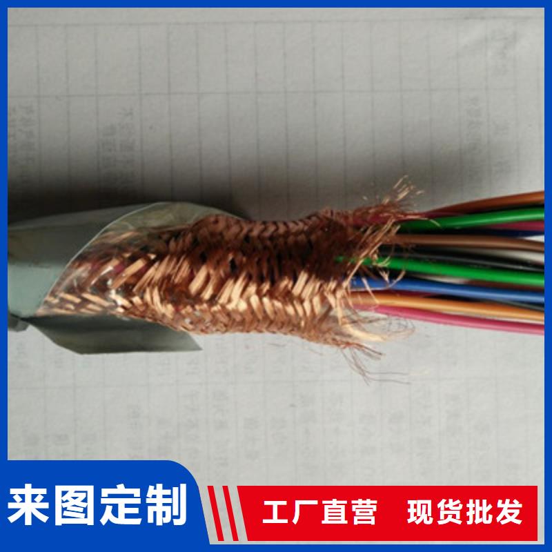 計算機電纜,電纜生產(chǎn)廠家真材實料誠信經(jīng)營