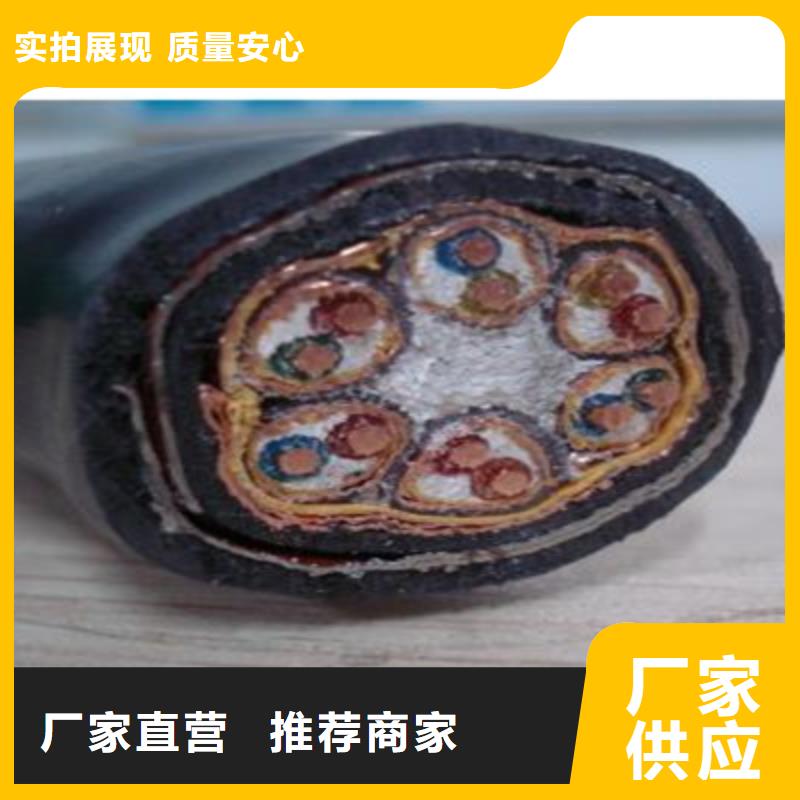 計(jì)算機(jī)電纜屏蔽電纜層層質(zhì)檢