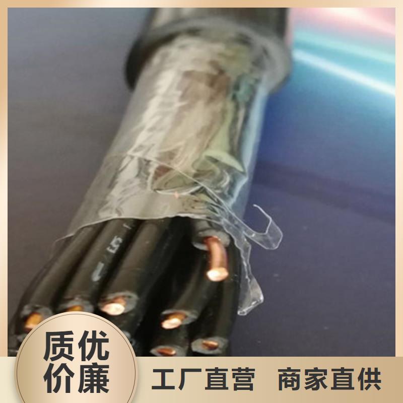 控制電纜計算機電纜讓客戶買的放心