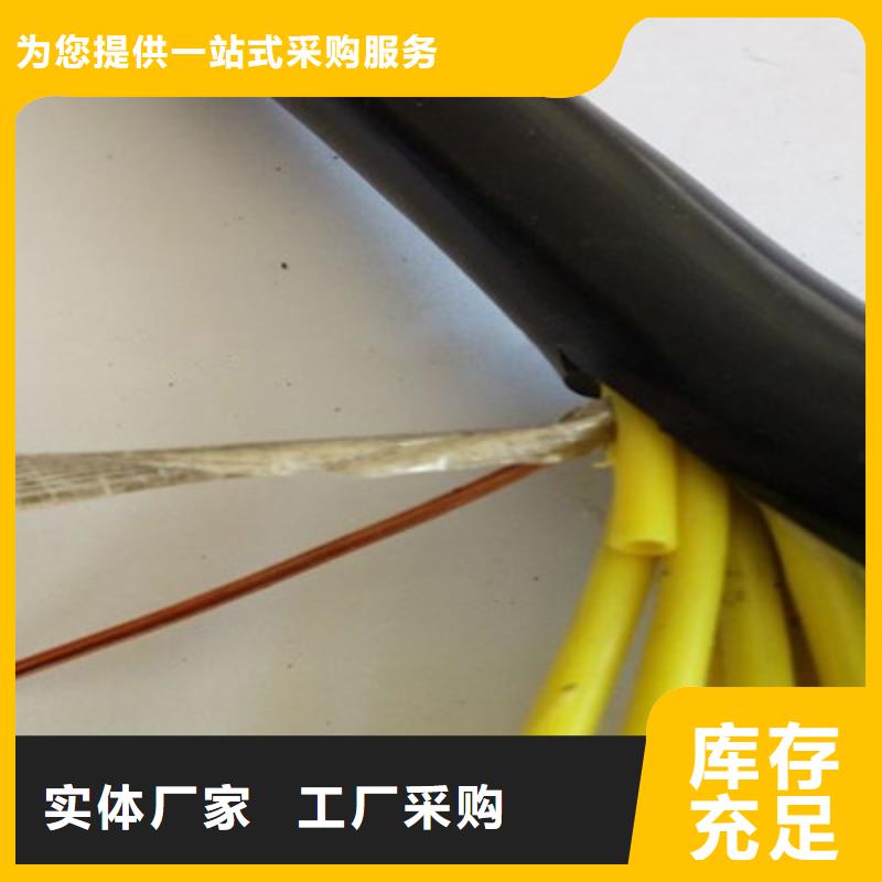 耐高温控制电缆ZR192-KFVP2 14X2.5